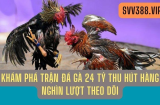 Trận Đá Gà 24 Tỷ - Kinh Nghiệm Thắng Lớn